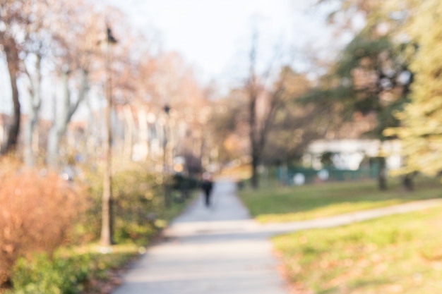 Free photo blurry background of garden with pathway and autumn trees