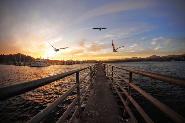 Boardwalk over the picturesque lake and birds hovering in the sunset sky