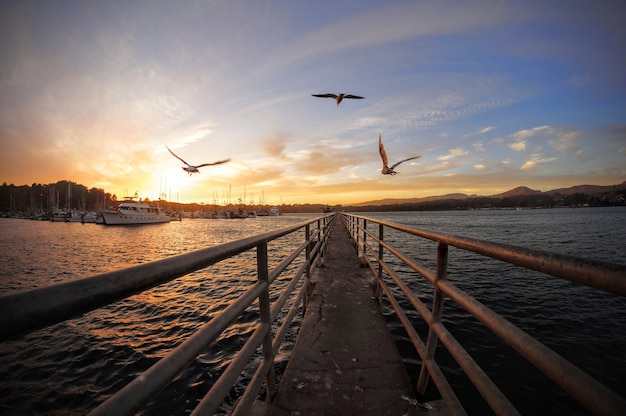 Boardwalk over the picturesque lake and birds hovering in the sunset sky