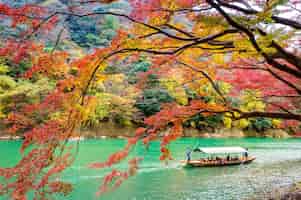 무료 사진 강에서 보트를 punting하는 뱃사공. 일본 교토의 강을 따라 가을 시즌에 아라시야마.