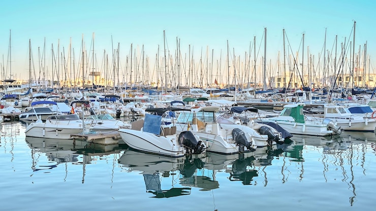 Free Photo boats in port of alicante