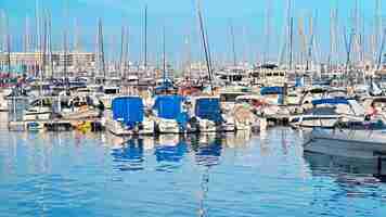 Foto gratuita barche nel porto di alicante