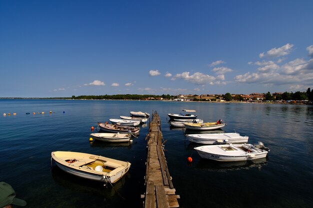 Rovinj, 크로아티아의 항구에있는 보트