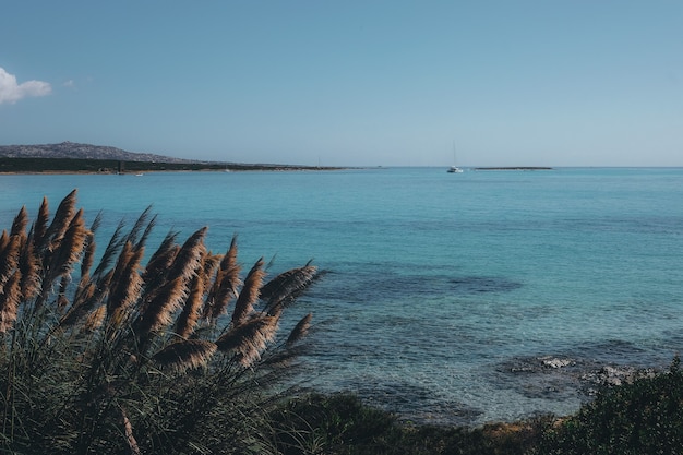 Foto gratuita specchio d'acqua durante il giorno