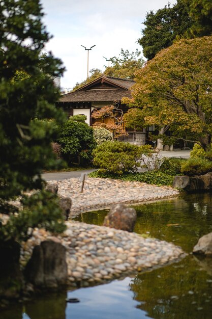 昼間は木々に囲まれた家の近くの水域