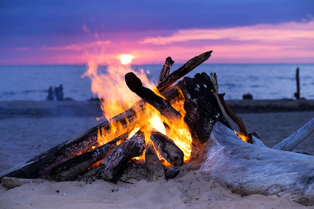 Bonfire on the beach Free Photo