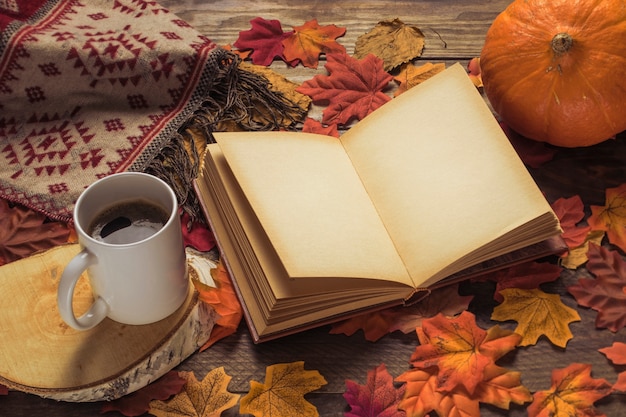 Book and blanket near drink and pumpkin