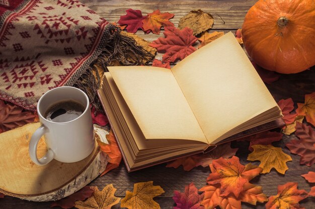 Book and blanket near drink and pumpkin