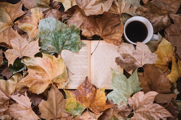 Book and coffee in leaves