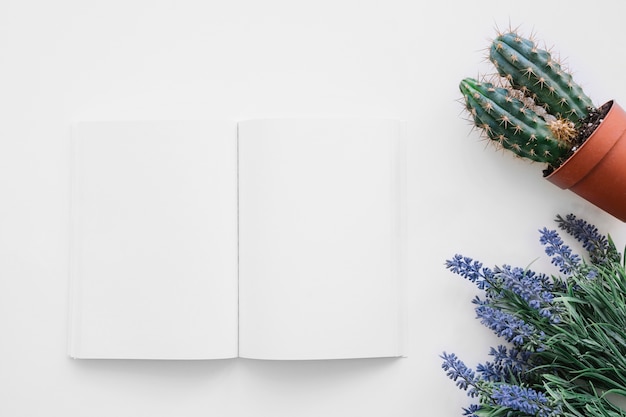 Book cover mockup with cactus and flowers