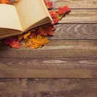 Free photo book and leaves on table