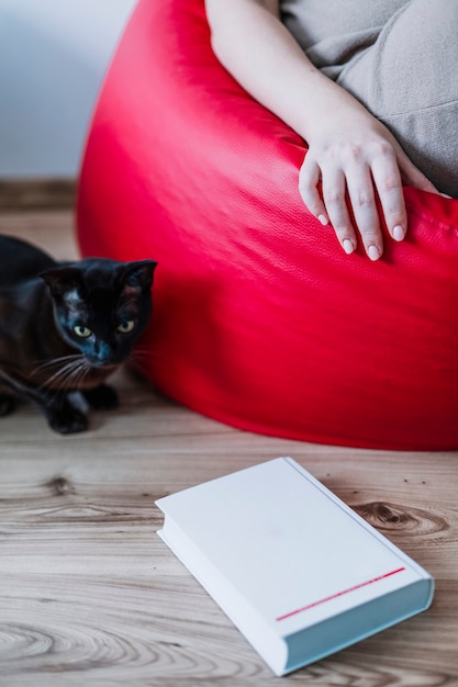 Free photo book near cat and crop woman