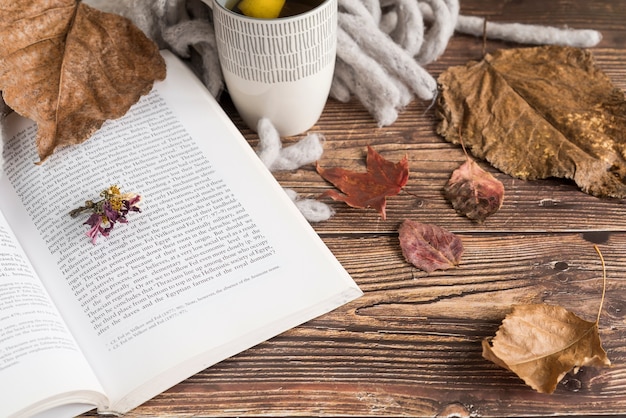 Book near lemon tea and autumn leaves