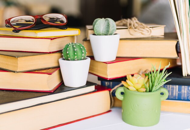 Book pile with cactus