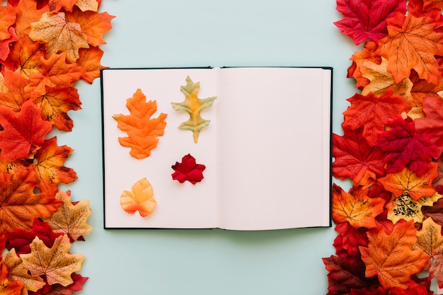 Foto gratuita prenota con foglie d'autunno all'interno