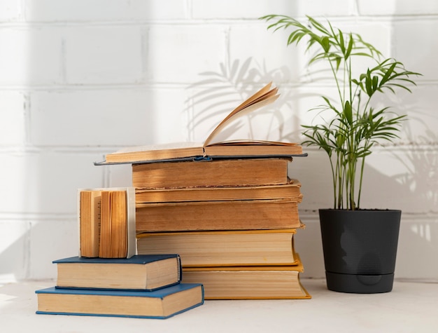 Free photo books arrangement with potted plant