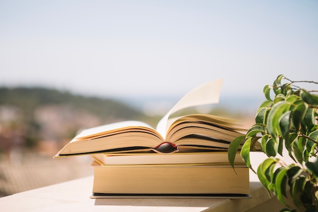 Books on ledge