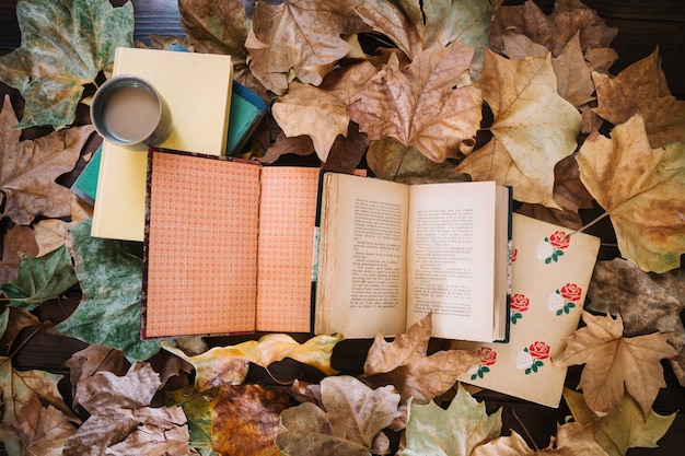 Books and notebooks on leaves