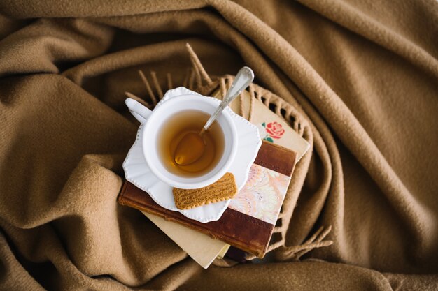 Books and tea on brown blanket