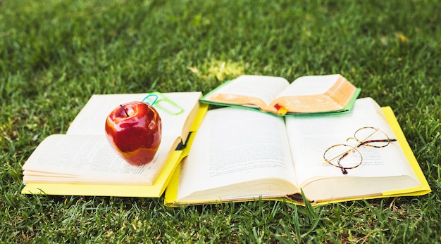 Books with stationery lying on green lawn