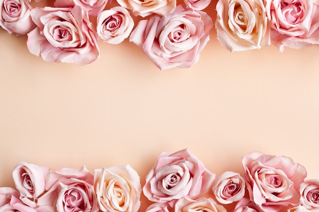 ベージュ色の背景に分離された美しい新鮮な甘いピンクのバラの罫線