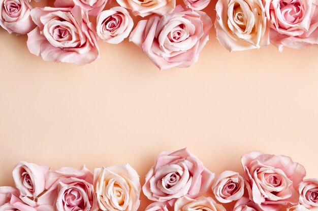 граница красивой свежей сладкой розовой розы на бежевом фоне