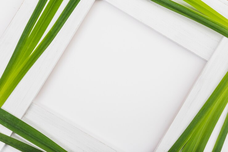 Free Photo border from long leaves