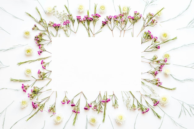 Free photo border from wild flowers