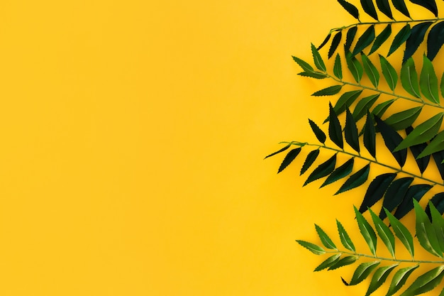 Free photo border green leaves on yellow with copyspace