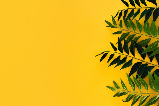 Border green leaves on yellow with copyspace