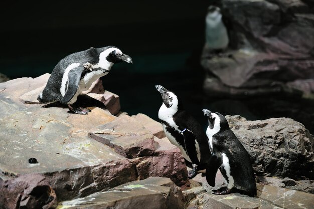 ボストン水族館