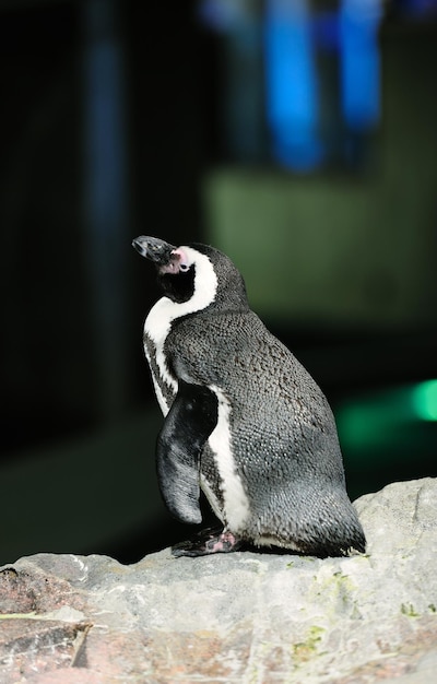 ボストン水族館