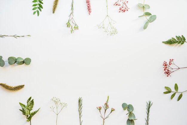 中間の空間を持つ植物の背景