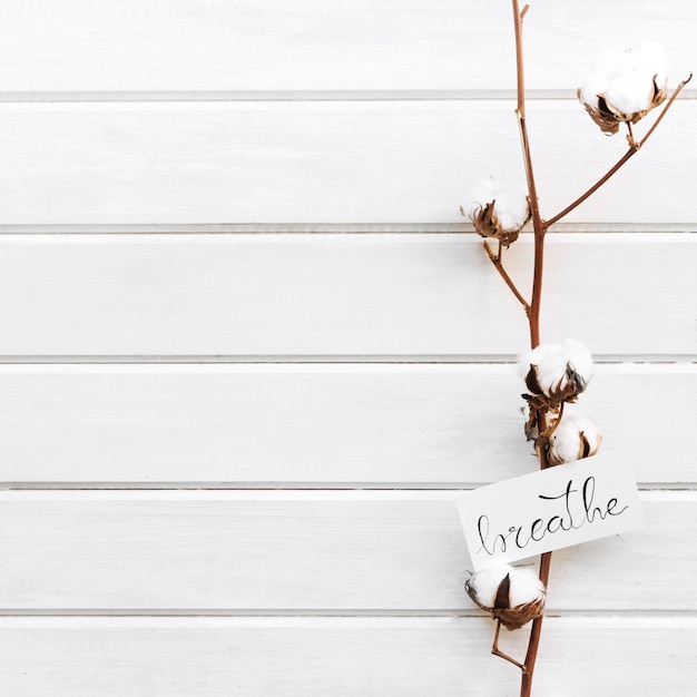 Botanical background with wildflower on right