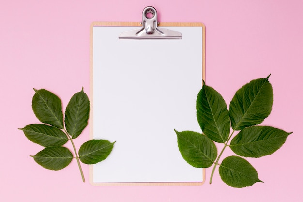 Free photo botanical decor with empty clipboard