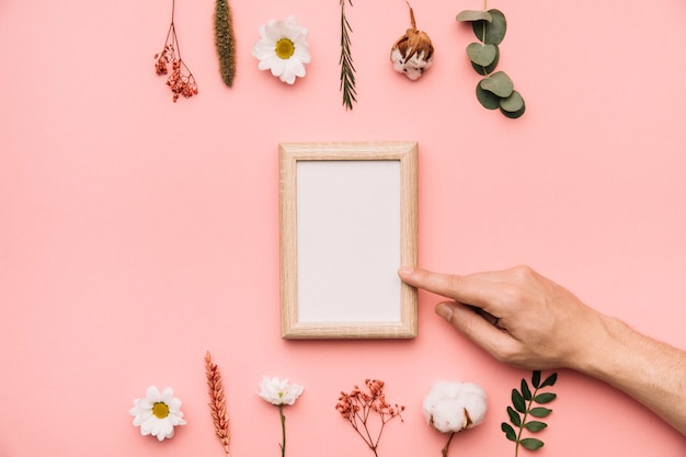 Free photo botanical elements and finger pointing at frame