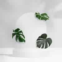 Free photo botanical product backdrop, monstera leaves