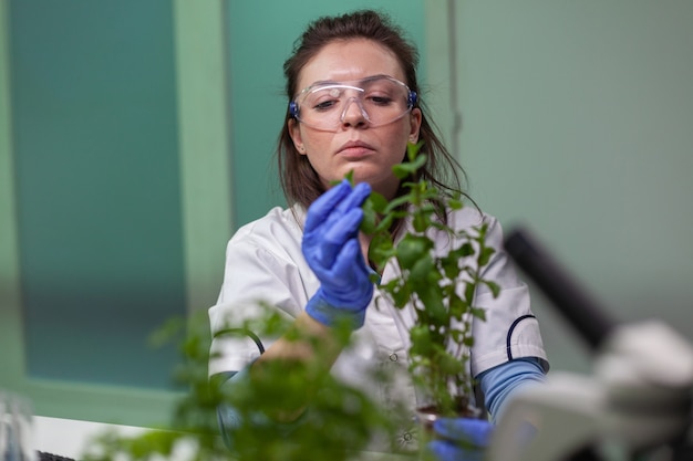 農業​実験​の​ために​有機​植物​を​分析する​遺伝子​突然変異​を​観察する​緑​の​苗木​を​調べる​植物​学者​の​研究者​の​女性