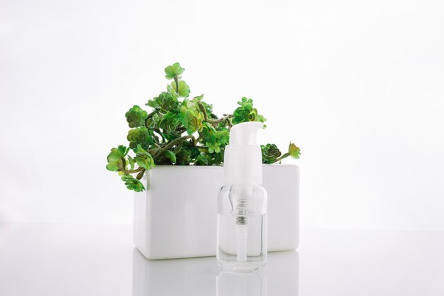 Bottle with lotion near potted plant