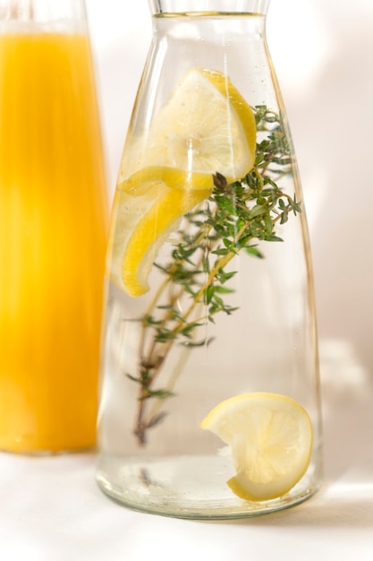 Bottle with water, lemon and plant