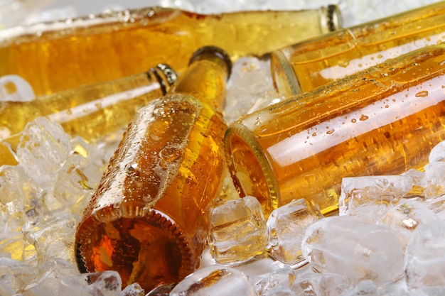 氷に横たわっているビールの瓶
