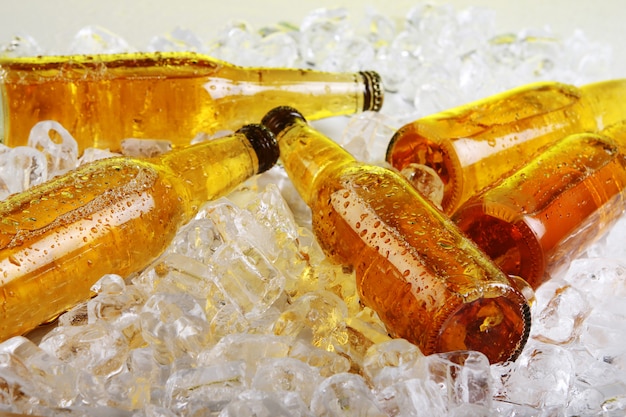Бесплатное фото Бутылки пива, лежащие во льду