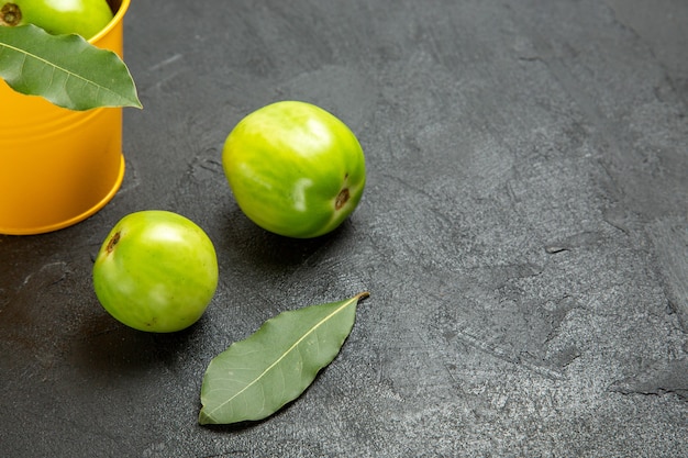 Bottom close view bucket of green tomatoes and bay leaves and tomatoes on dark background