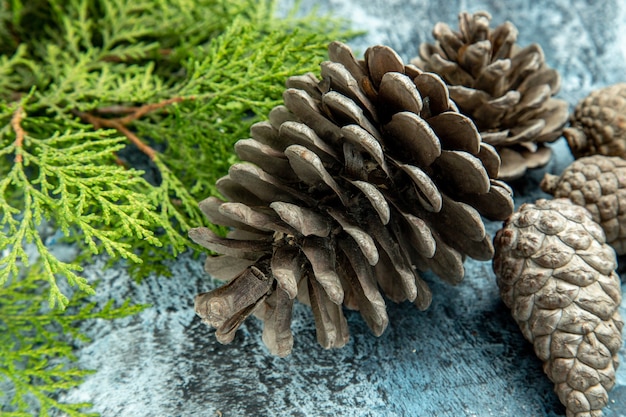 Free photo bottom close view closed and open pinecones pine branch on grey surface