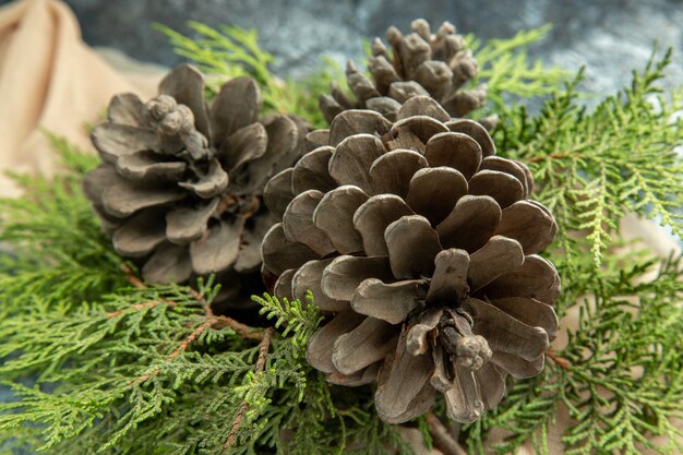 Bottom close view pinecones pine branches on dark surface