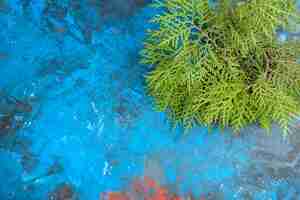 Free photo bottom view cedar branches on blue table free space