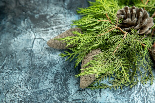 Bottom view closed and open pinecones pine branches on grey surface free space