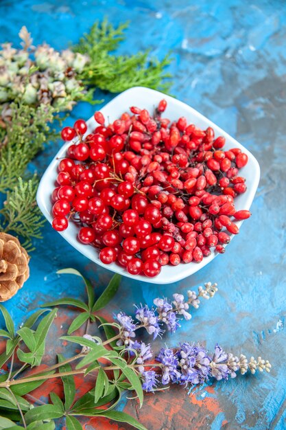 Bottom view currants and barberries in bowls pine tree branch on blue table