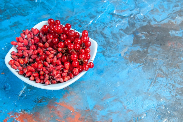 Bottom view currants and barberries in white plate on blue red table free space