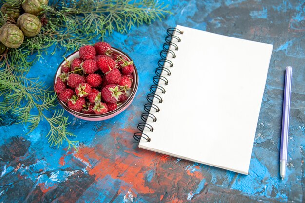 Bottom view fresh raspberries in bowl pine tree branch a pen a notebook on blue red table